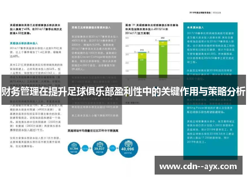 财务管理在提升足球俱乐部盈利性中的关键作用与策略分析 财务管理在提升足球俱乐部盈利性中的关键作用与策略分析