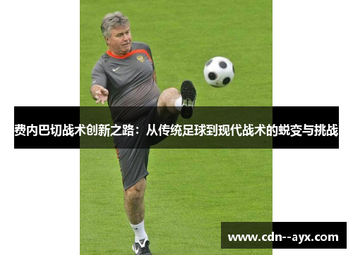 费内巴切战术创新之路：从传统足球到现代战术的蜕变与挑战