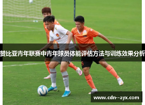 赞比亚青年联赛中青年球员体能评估方法与训练效果分析