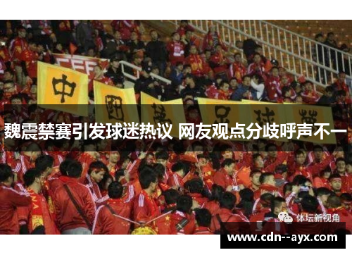 魏震禁赛引发球迷热议 网友观点分歧呼声不一 魏震禁赛引发球迷热议 网友观点分歧呼声不一