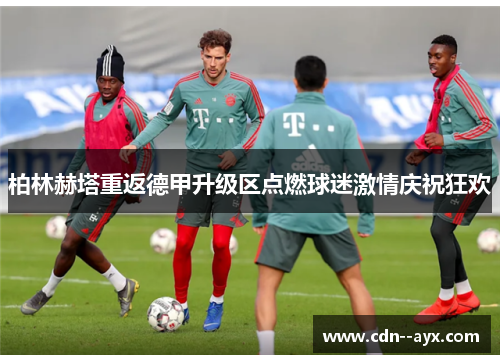 柏林赫塔重返德甲升级区点燃球迷激情庆祝狂欢