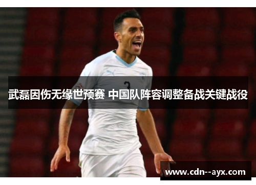 武磊因伤无缘世预赛 中国队阵容调整备战关键战役 武磊因伤无缘世预赛 中国队阵容调整备战关键战役